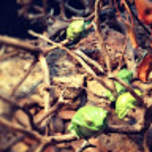 Meet your Posher, Allison